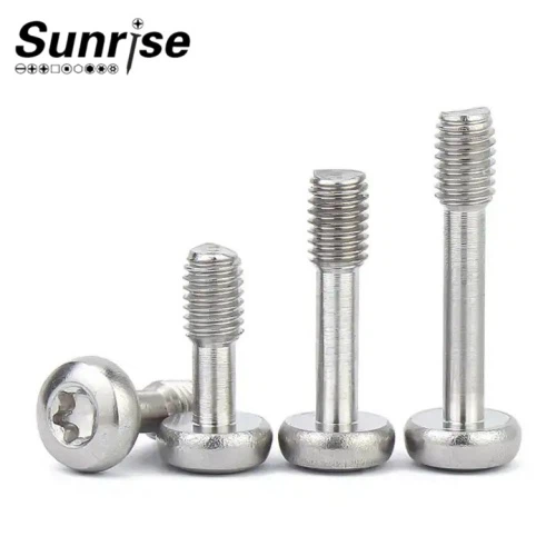 Vis à tête ronde Torx précise en acier inoxydable pour attaches de panneaux