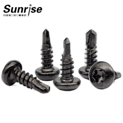 Vis autoperceuse à tête ronde à entraînement Torx à 6 lobes Black Roof Tek