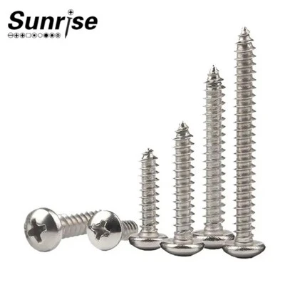 M2-Vis ​​autotaraudeuses à tête cylindrique Phillips M10 SS316