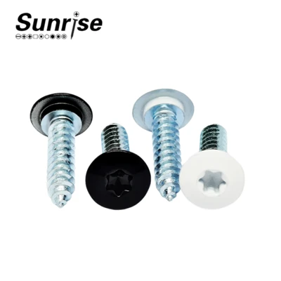 Vis autotaraudeuse à tête cylindrique Torx